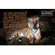 Animals: Tiger - Isaiah 53v5 - Sunday School Prize